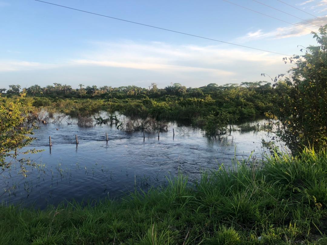 Bajo las aguas se encuentran  las tierras  de la  finca Boralito. ¿Dónde se pretende  colocar a los ocupantes ilegales?  <a href="/Fedenaga/">FEDENAGA</a>