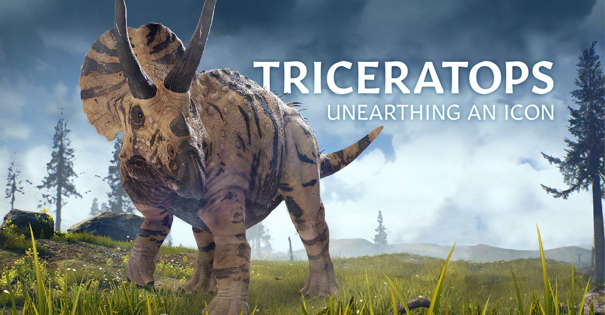 Peter Tullin tweet media