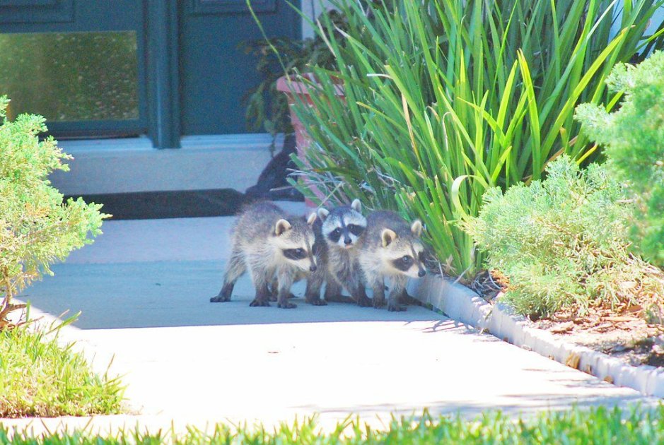 <a href="/sonyv_Gal4/">sonyv</a> <a href="/CanelaCoffe/">#GoHabsGo</a> <a href="/srinualme/">Srinual Meepengjan</a> <a href="/Marg1010/">Marg S</a> <a href="/salam_c/">Salam</a> <a href="/_askgercekse_/">Aşk Gerçekse</a> <a href="/ddlexus/">james</a> <a href="/SLARTZONE/">Stéphane Lefebvre</a> Me in the middle