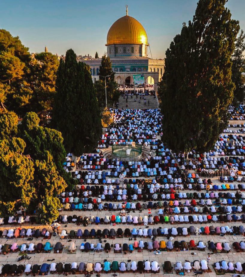 haithamrafi's tweet photo. اللهم احفظ المسجد الأقصى المبارك وأهله، اللهم احفظ بنائه وأعلي مناره وانصر مجاهده واشف جريحه وفك أسيره وتقبل شهيده.
-امين يارب العالمين 
-
لا إله إلا الله وحدة لا شريك له له الملك وله الحمد وهو على كل شئ قدير "
#FreePalestine https://t.co/UVHIuNPnwQ