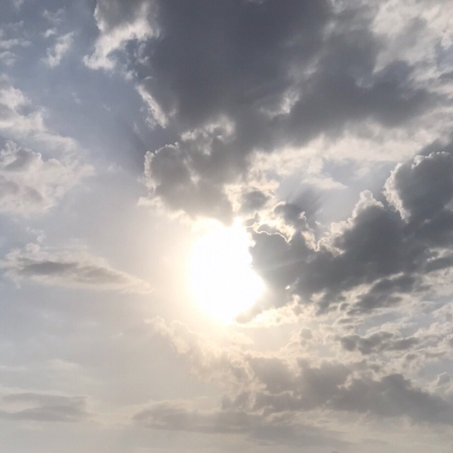 What did you FIRST see in this picture?

Though the dark clouds eerily tried to dominate the picture, the Sun broke through with its radiance! It even added a pretty outline of gold to the dark clouds as if emphasising who really will colour the sky today.