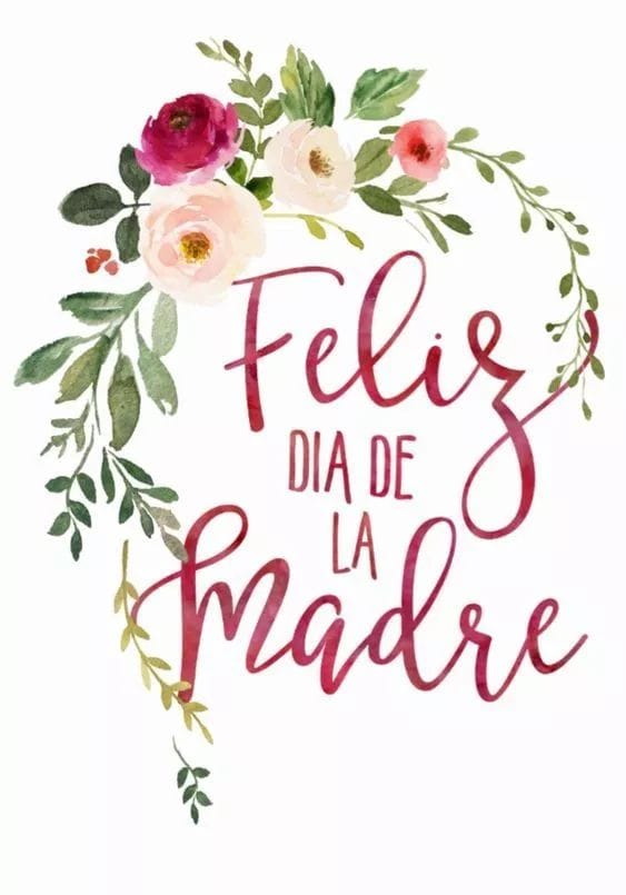 CobachOcho's tweet photo. Muchas felicidades a todas las madres..Deseandoles lo mejor..que esten muy apapachadas..#somosdelocho #soydelocho #FelizDiaDeLasMadres
#cuidateycuidaalostuyos @cobach_sonora https://t.co/sBis4FYqlV