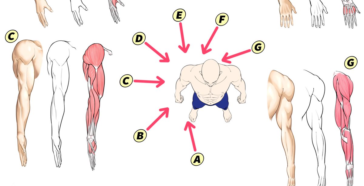 【この講座の内容は❓】

①《筋肉の立体感の肌塗り💪》
デジ塗りメイキングを徹底解説‼️

②「腕の筋肉の構造」を
超シンプル手順でマネして勉強できる!!✨

③動画メイキングを見ながら
オリジナル線画素材で学習できる
『素材データ配布付き』📒✏️

月額500円以上の価値が間違いなくあります📙✨ 