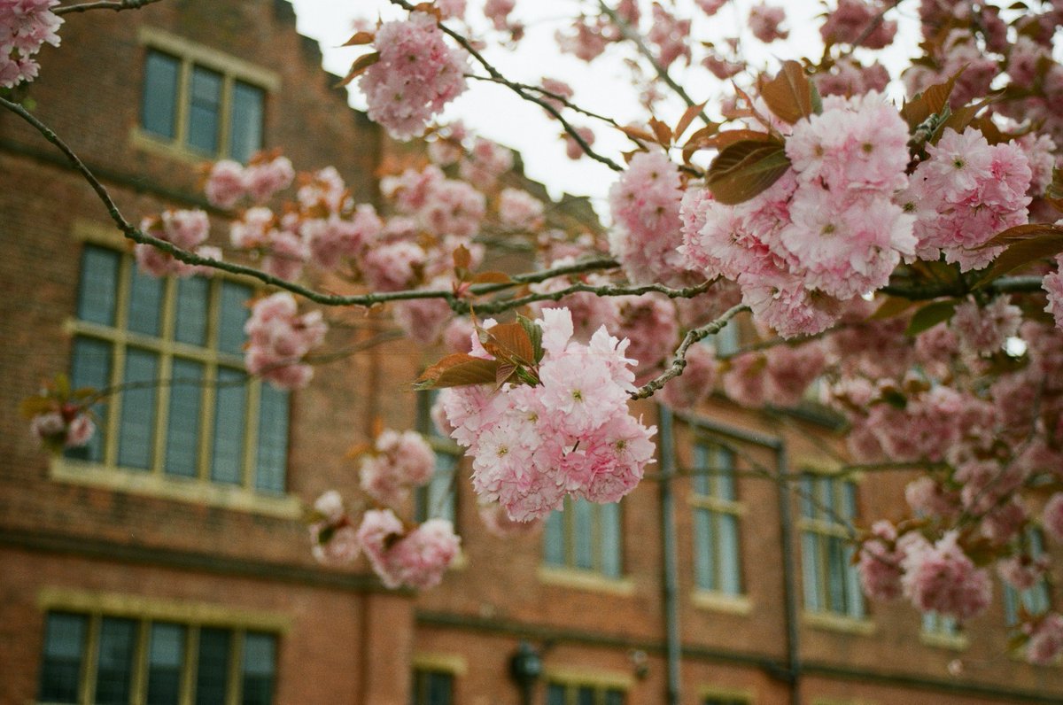We are very lucky <a href="/worksopcollege/">Worksop College</a> to be surrounded by nature - encouraging everyone in the Classics Dept and beyond to #ConnectWithNature this week and go for a walk for #MentalHealthAwarenessWeek #35mm #nofilter