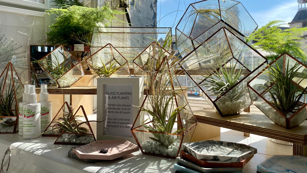 markethallshrewsbury tweet media