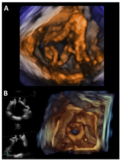 Jole Sabatino tweet media