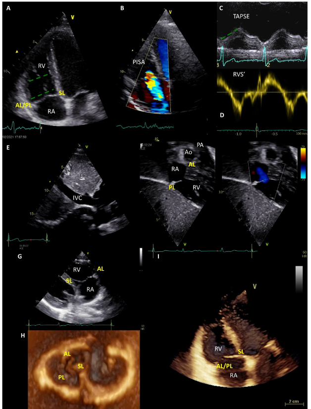 Jole Sabatino tweet media