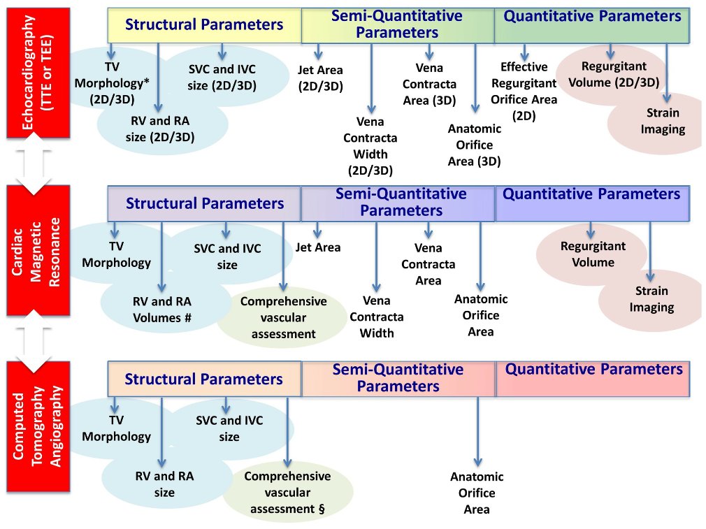 Jole Sabatino tweet media