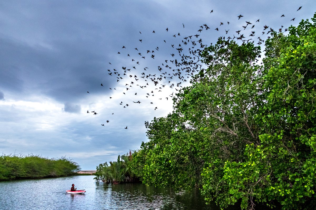 Time spent in nature is good for mental health and wellbeing.

#MentalHealthAwarenessWeek 
#RestoreWetlands  #KeepWetlands