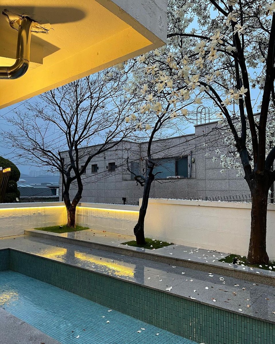 PGone05442888's tweet image. beautiful   #ptex