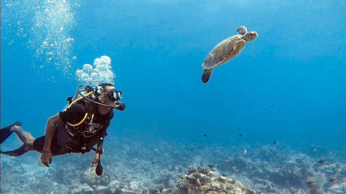Meeru_MV's tweet image. #TurtleTuesday Say hello to our turtle friend 🤗 
We met this turtle during an excursion.
Diving adventures with our @eurodiversmeeru team always one of the highlights of a Meeru vacation!

#TurtleAwareness #SeaTurtleProtection #WorldTurtleDay #SustainableTourism