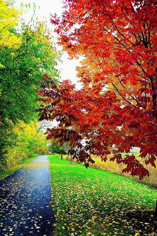 M O O N W A L K (@geography_point) on Twitter photo 