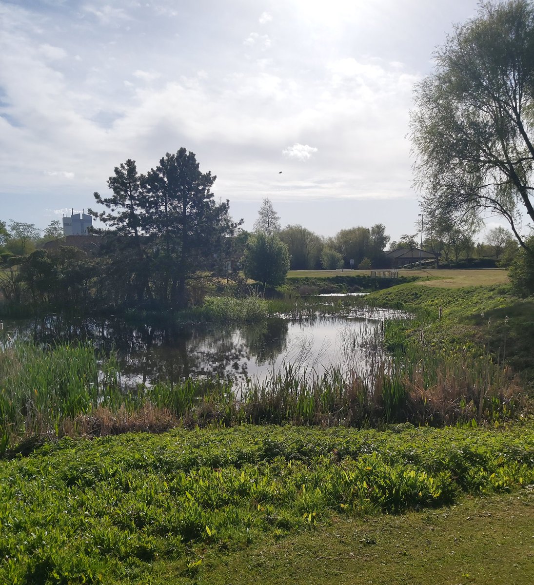 Are you looking for a new #office #conferencespace or #meetingroom    Call Biz-Hub on 0800 04304500 to arrange a viewing. #cafelush #gym #ConnectWithNature #bizhub