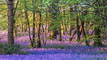 Caravan and Motorhome Club tweet media