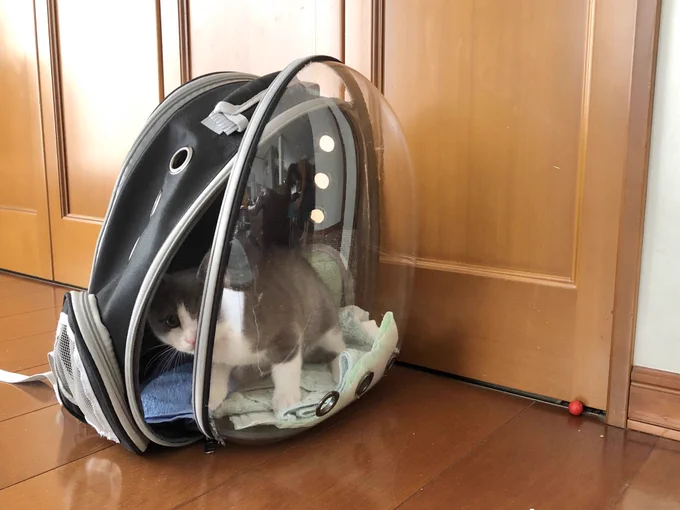 今日は子の三者面談みたいなの挟むからまだ事務所行かないんで… 