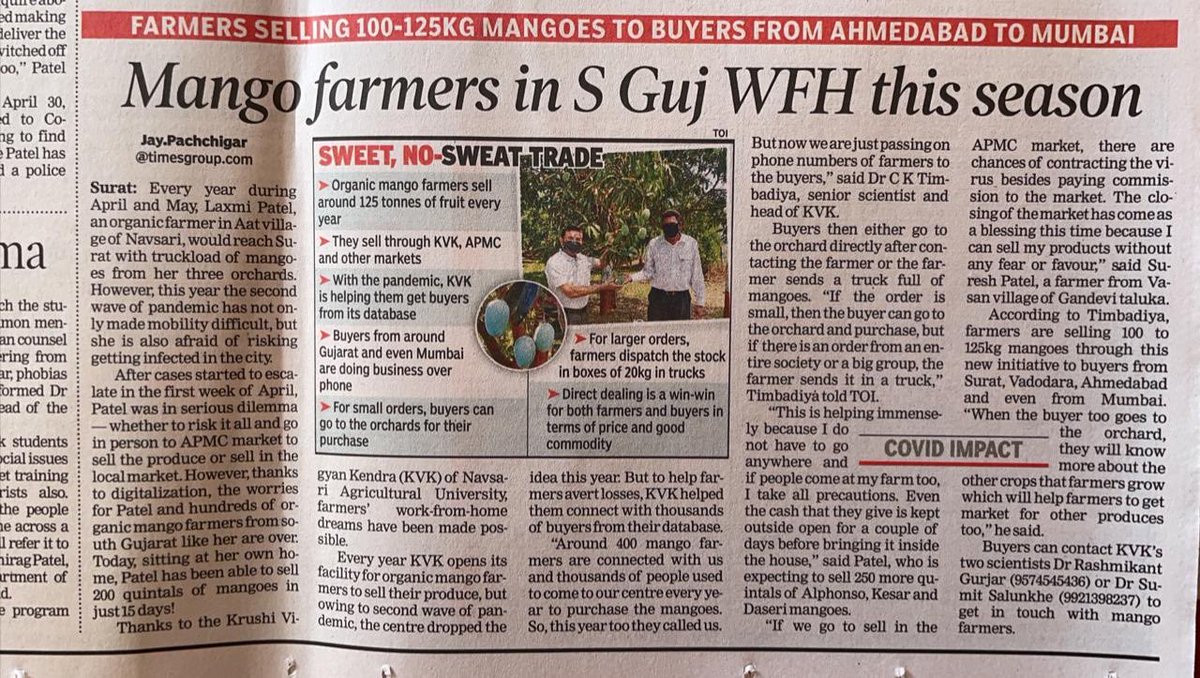 KVK help to the mango farmers in south Gujarst