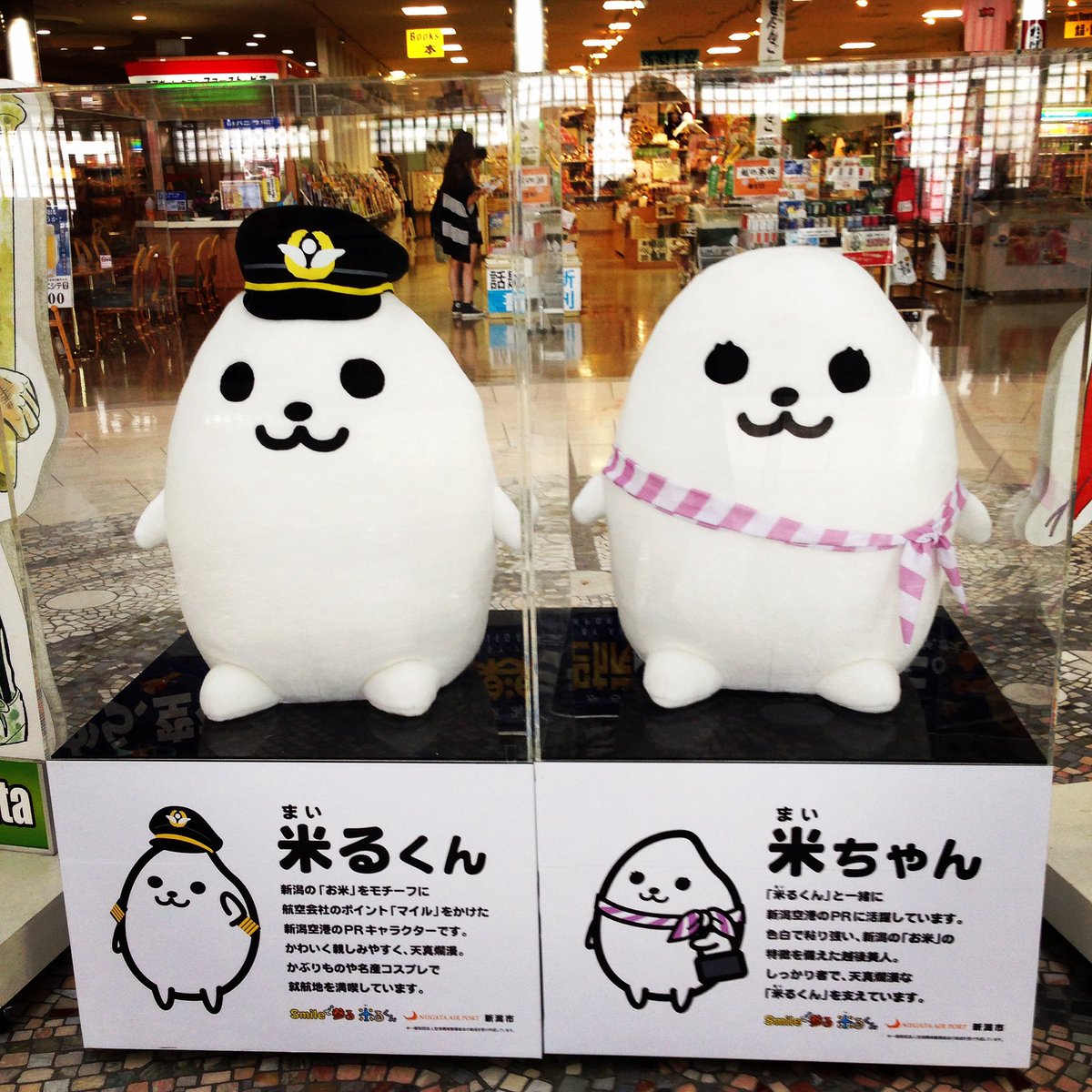 にいなちゃん Twitter Search