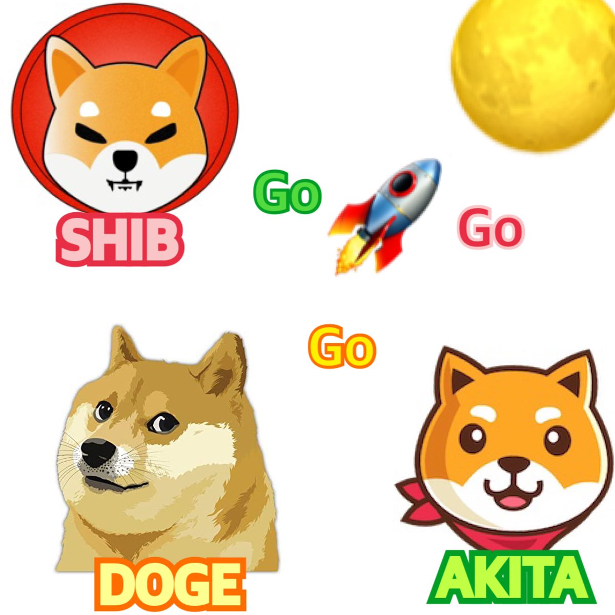 dakdord's tweet photo. @shiba_coin #SHIB &amp; #DOGE &amp; #AKITA https://t.co/WcxDIcHVur