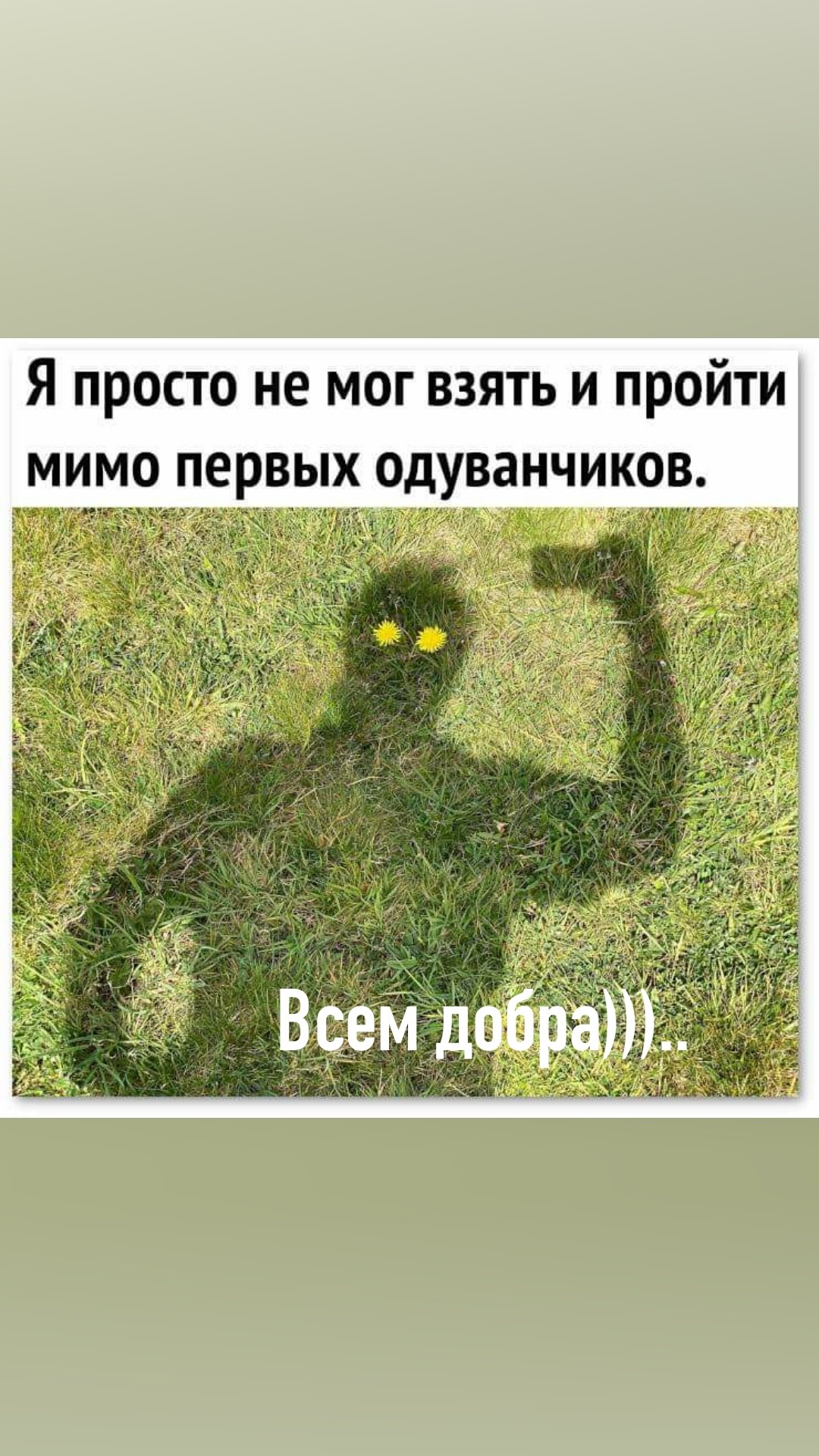 Одуванчик мемы