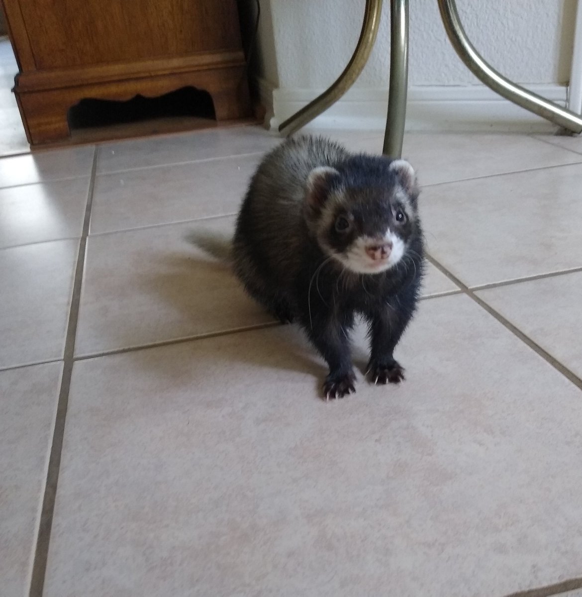 Pondering your next path to destruction