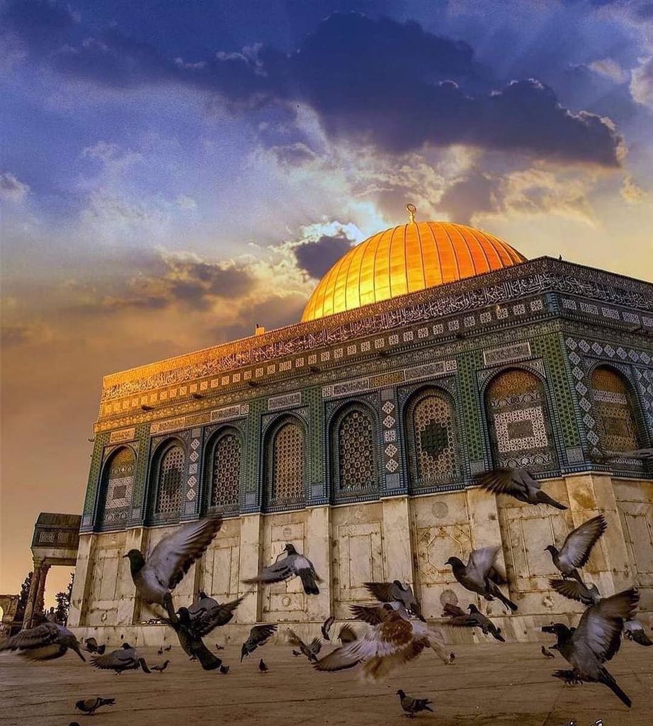 أبْحِر tweet media