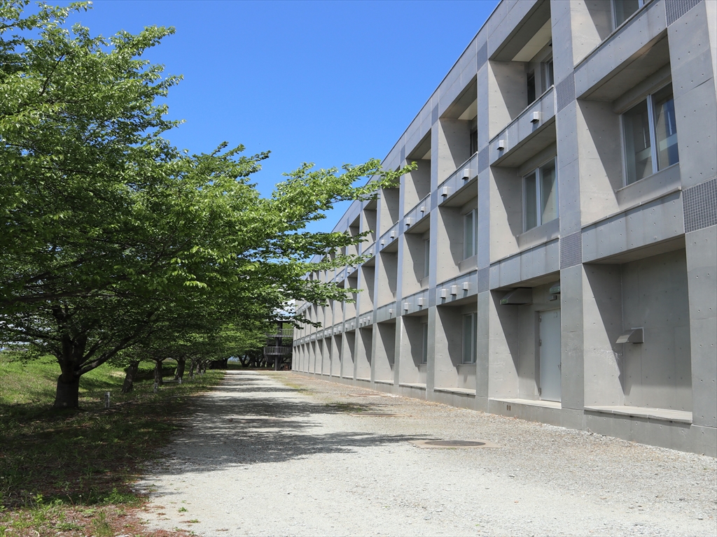 米 短 社 情２ Yone Shajo2 Twitter