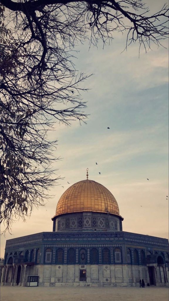 arab2turk's tweet photo. اللهُم إنا استودعناك المسجد الأقصى، ساحاته، وأحجاره، وأشجاره، وأهله، والقُدس وأهل القُدس وما حولها وكُل فلسطين .. اللهُم كُن لَهُم عوناً ومعيناً وحافظاً ومؤيداً ونصيرا https://t.co/4GzbGZzVNW