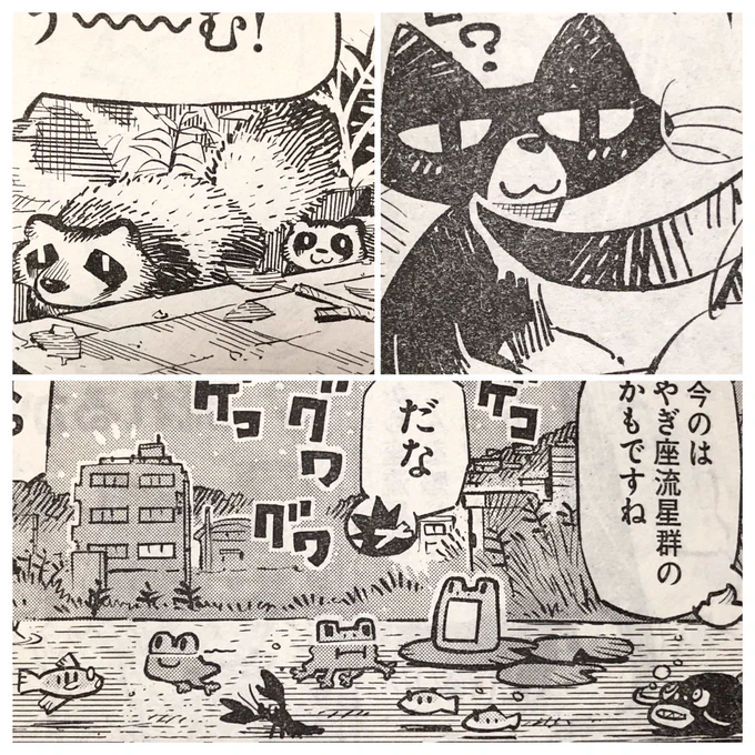 *今月の小動物特集*うみそらかぜに花 連載中 
