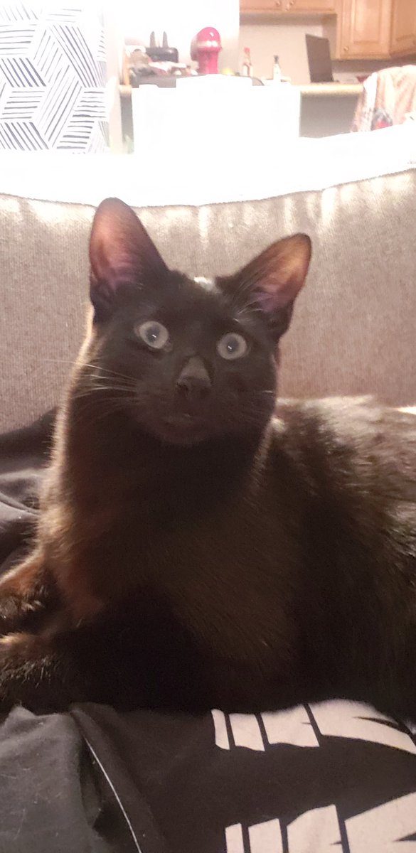 Hannah🍄 tweet media