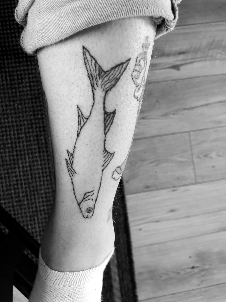 johanberg11's tweet image. Gjorde en liten fisk