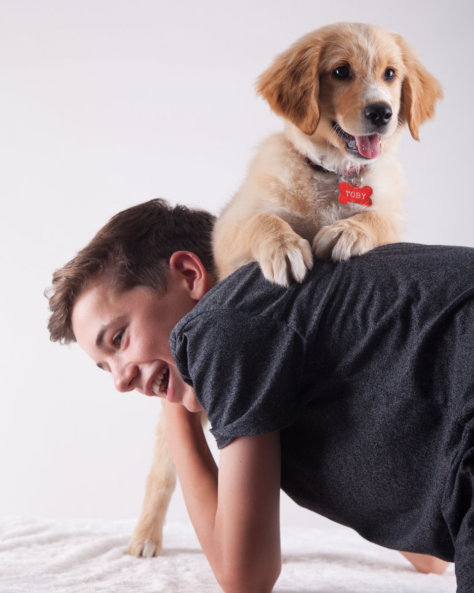 Our Parents, Pets &amp; Pandemic Survey recruited 1,300 Australian parents with kids<18yrs and a dog/cat in mid-2020. 1 in 5 families welcomed a new pet during COVID-19. Research led by <a href="/DrSKBennetts/">Dr Shannon Bennetts</a> Stay tuned for findings... <a href="/latrobe/">La Trobe University</a> <a href="/LTUresearchers/">La Trobe Researchers</a>