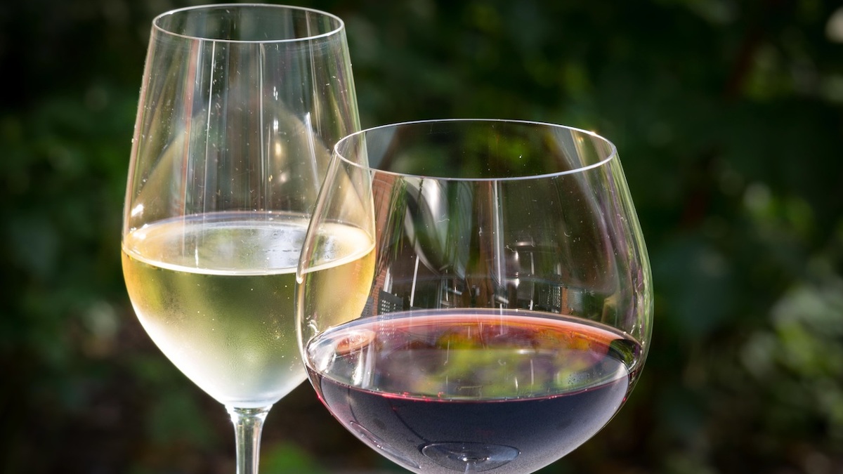 Vino "annacquato", ecco come hanno votato gli eurodeputati italiani - mailchi.mp/27c899e2c0f0/v…