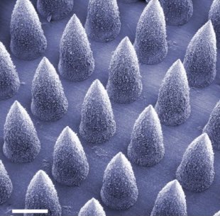guzhenlab's tweet photo. Our “bioorthogonal catalytic patch” for in situ generation of anticancer  drug https://t.co/Ze48Sb59yl https://t.co/WOJ8U69Dzc