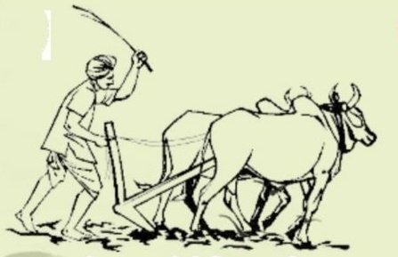 अन्नदाताओं के पावन-पर्व #हाळी_अमावस्या की बहुत बहुत बधाई एवं शुभकामनाएं!
स्वस्थ,खुशहाल व समृद्ध जीवन की मंगलकामनाएं!
#किसान