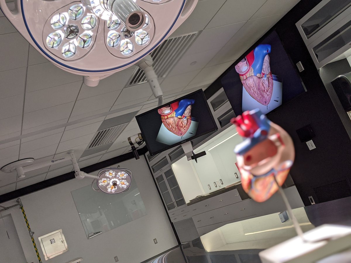 um_HACS_GSA's tweet photo. The HACS Department is very proud of their newly renovated Anatomical Lab including a surgical camera &amp; lights. Dr. George Yee Laboratory of Anatomical Sciences received🥉in the Learning Category at the London-Based World Interior News Awards. 

Always improving, always involved! https://t.co/t5SszTnE27
