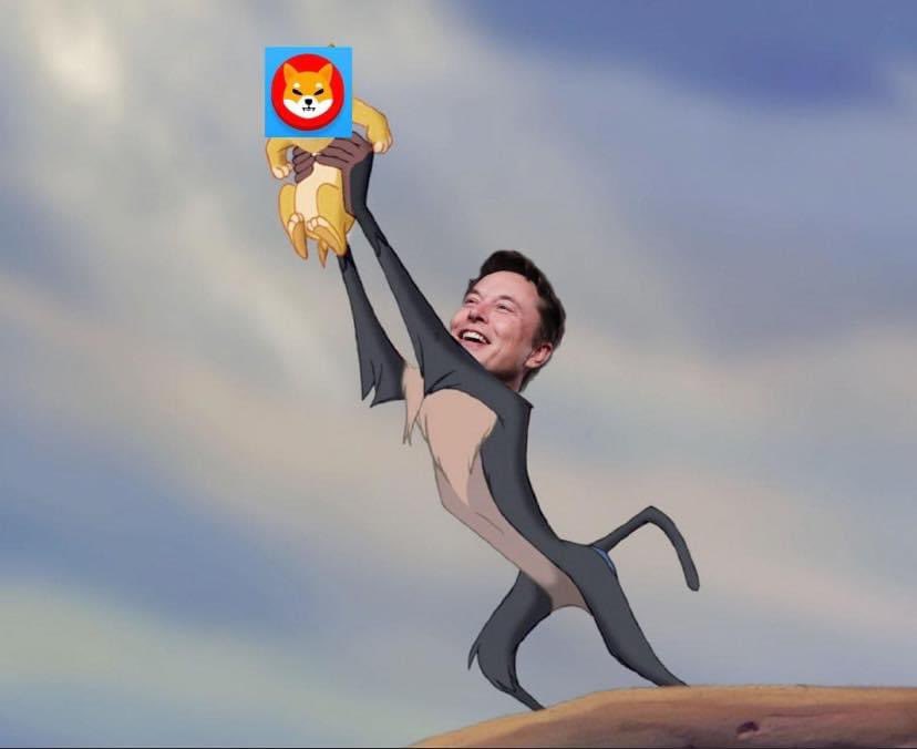 Giving away 10M #ShibaCoin to one person who retweets in the next 24 hours.