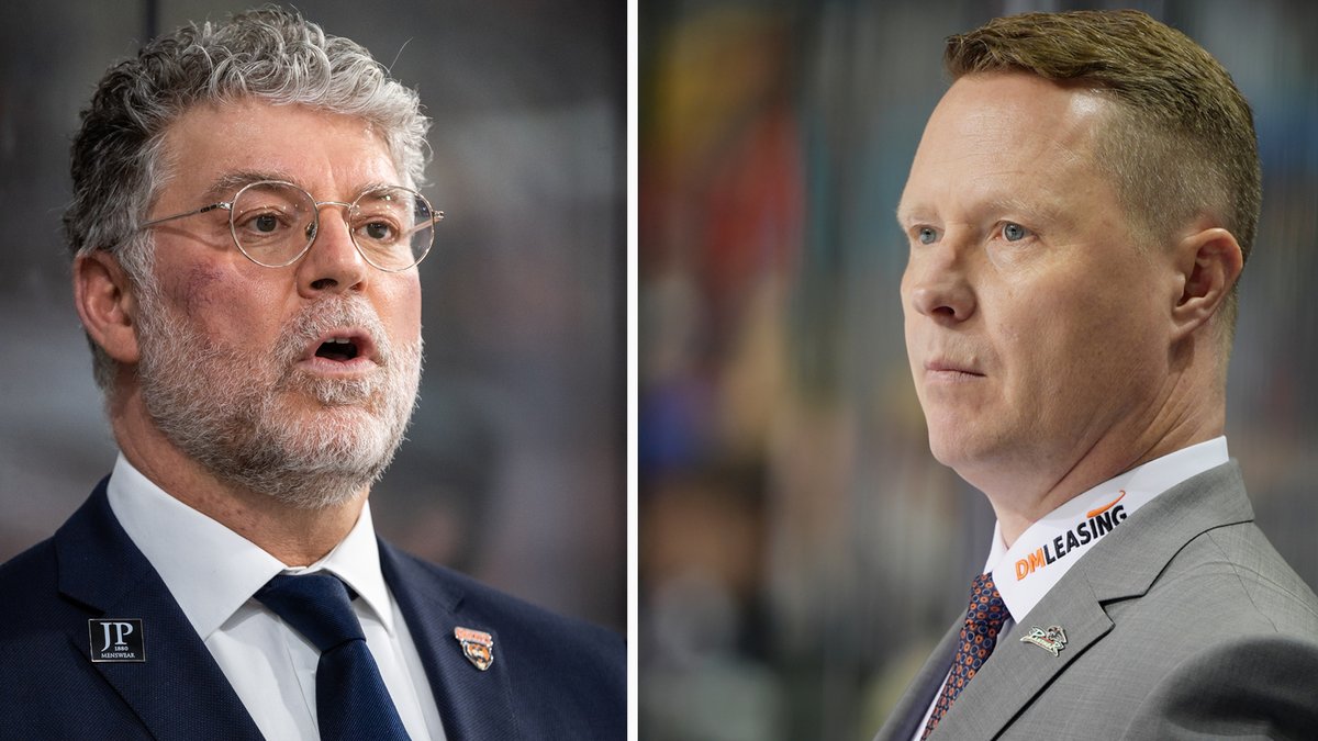 Grizzlys Wolfsburg tweet media