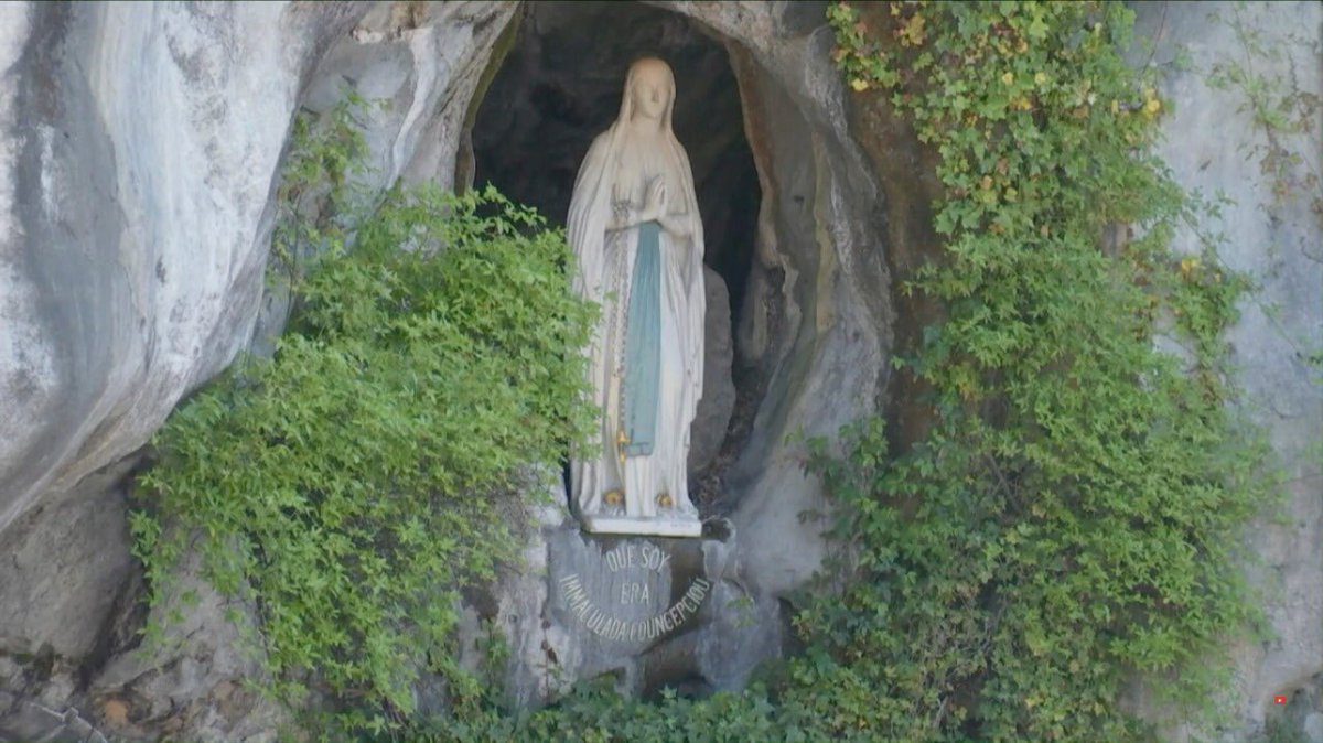 Society of Our Lady of Lourdes tweet media