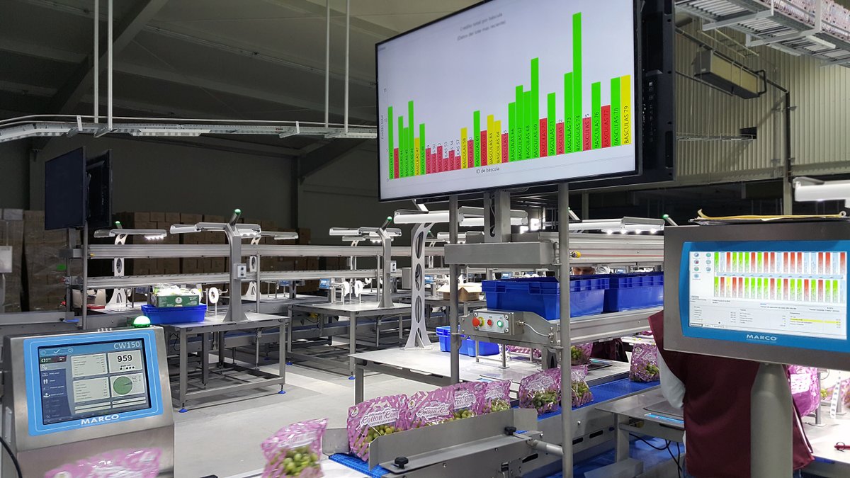 MARCO_Limited's tweet image. Reduce training requirements for new operators and identify your top performers with our simple-to-use Trac-IT Yield Control Module. 
marco.co.uk/production-con…
#packinglabour #packingsystems #smartscales