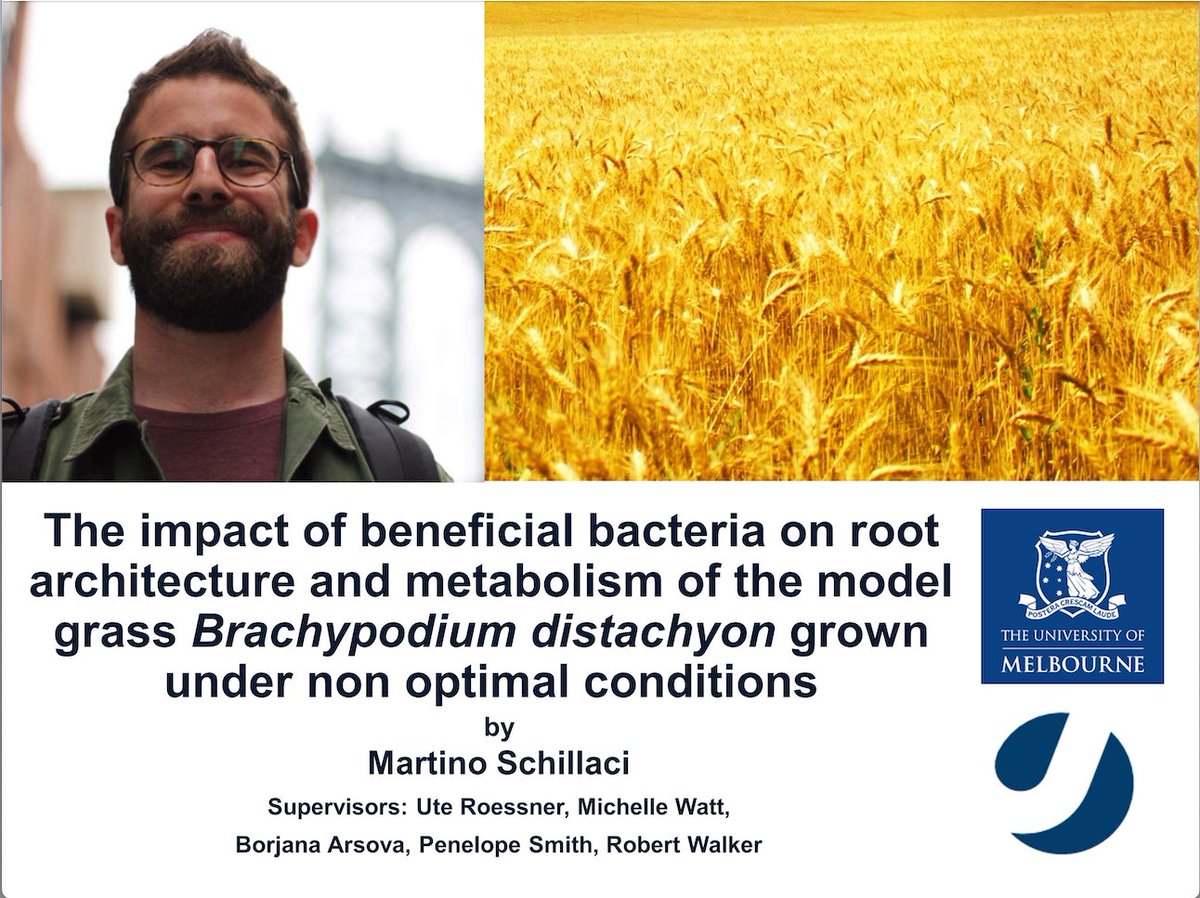 BioSciences UniMelb (@biosci_unimelb) on Twitter photo Congratulations 👨🎓Dr. @schillaci_m, first <a href="/JUMPA_PhD/">JUMPA</a> student to graduate from <a href="/BioSci_UniMelb/">BioSciences UniMelb</a> <a href="/UteRoessner/">Ute Roessner</a> Group with <a href="/fz_juelich/">Forschungszentrum Jülich | @fzj@social.fz-juelich</a> <a href="/Borjana_A/">Borjana Arsova</a> <a href="/MelbourneRoots/">Michelle Watt, Scientist</a> <a href="/latrobe/">La Trobe University</a> Three publications will help guide microbe-assisted plant growth in changing climates Congratulations 👨🎓Dr. @schillaci_m, first <a href="/JUMPA_PhD/">JUMPA</a> student to graduate from <a href="/BioSci_UniMelb/">BioSciences UniMelb</a> <a href="/UteRoessner/">Ute Roessner</a> Group with <a href="/fz_juelich/">Forschungszentrum Jülich | @fzj@social.fz-juelich</a> <a href="/Borjana_A/">Borjana Arsova</a> <a href="/MelbourneRoots/">Michelle Watt, Scientist</a> <a href="/latrobe/">La Trobe University</a> Three publications will help guide microbe-assisted plant growth in changing climates