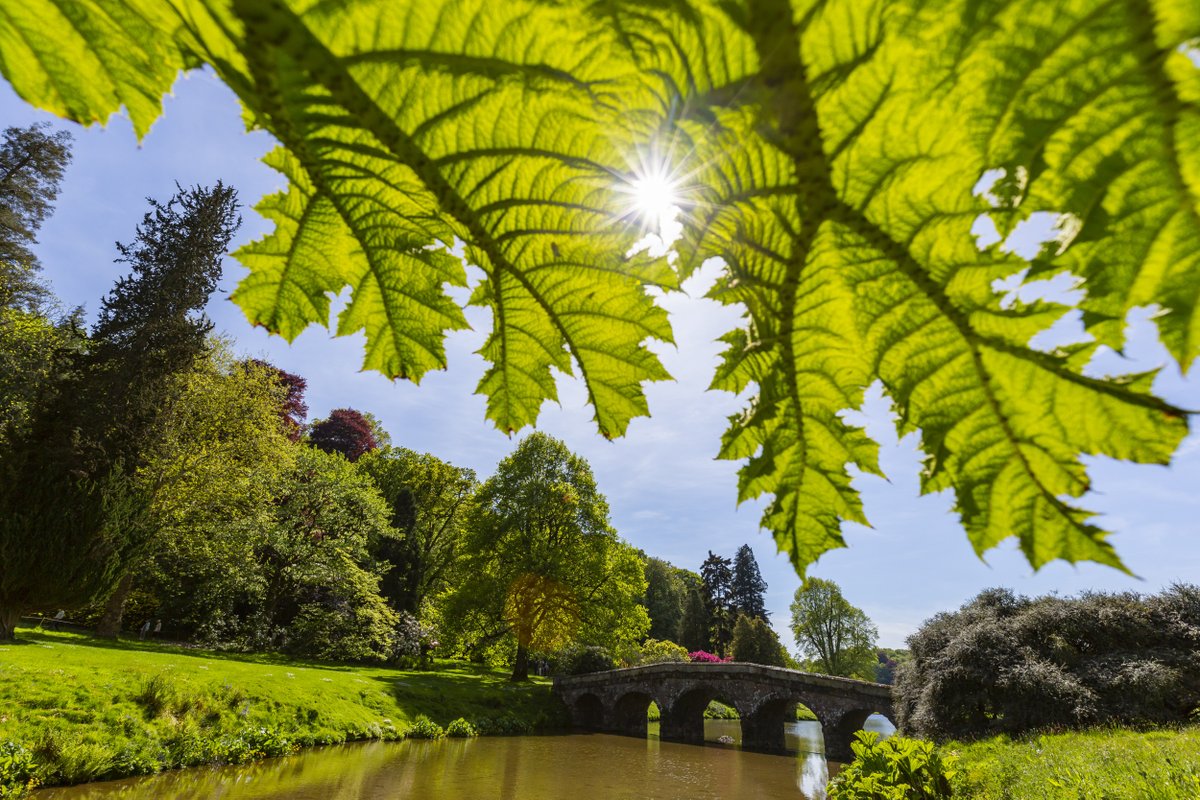 nationaltrust's tweet image. Spending time in nature can reduce anxiety and depression, and basking in natural light can lift your mood. If you can, take a moment to connect with the outdoors today.
 #EveryoneNeedsNature #MentalHealthAwarenessWeek