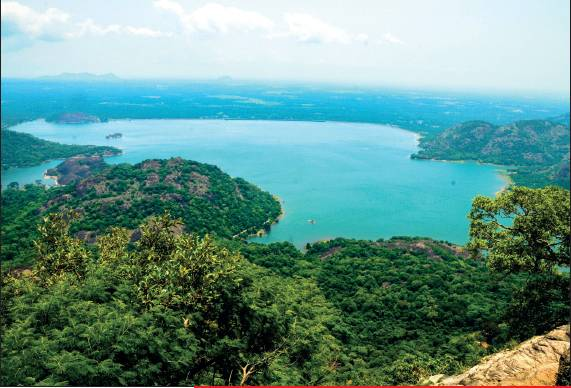toi_Arunram's tweet photo. 4th of #TOI s #Thingsdoto for #MKstalin series
Bring the tourists back
The Last DMK Government Had Introduced Some Novel Concepts To Boost Tourism That Were Given Up With The Regime Change. Time To Breathe New Life Into The Sector
#Tamilnadu #Tourism 
https://t.co/ZgaLAXoDRw https://t.co/8uBMfgyyRn