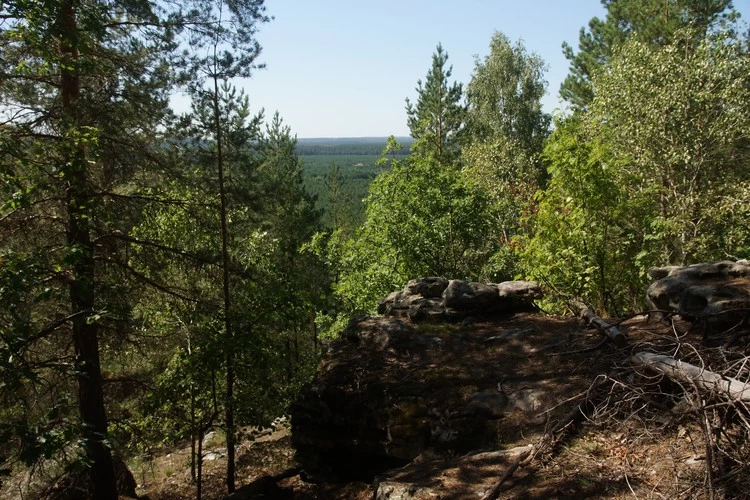 Центр управления регионами поделился топом самых красивых мест Самарской области. Там можно отдохнуть и насладиться прекрасными видами.
samara.kp.ru/online/news/42…