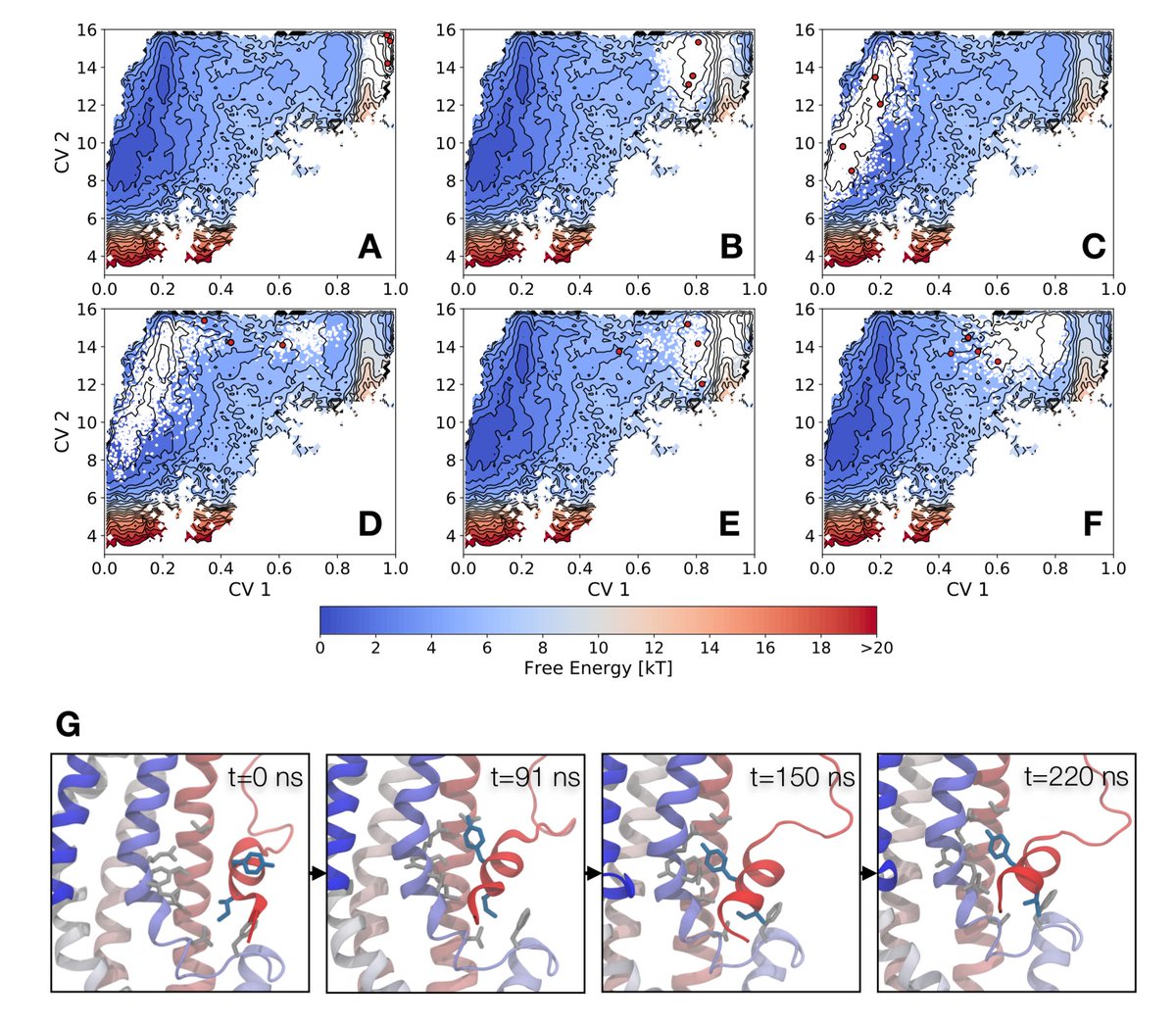 Kresten Lindorff-Larsen tweet media