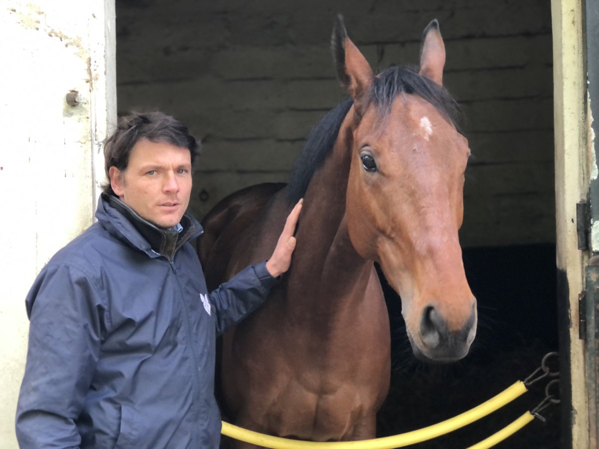 francesire's tweet photo. A une grosse semaine du Grand Steeple Chase de Paris, @davidcottin nous a ouvert ses portes pour rencontrer ses 3 mousquetaires: #Ajas , #LeBerry et #Generalenchef ! Rendez vous ce soir pour le grand reportage ! https://t.co/xewbJEFd6z