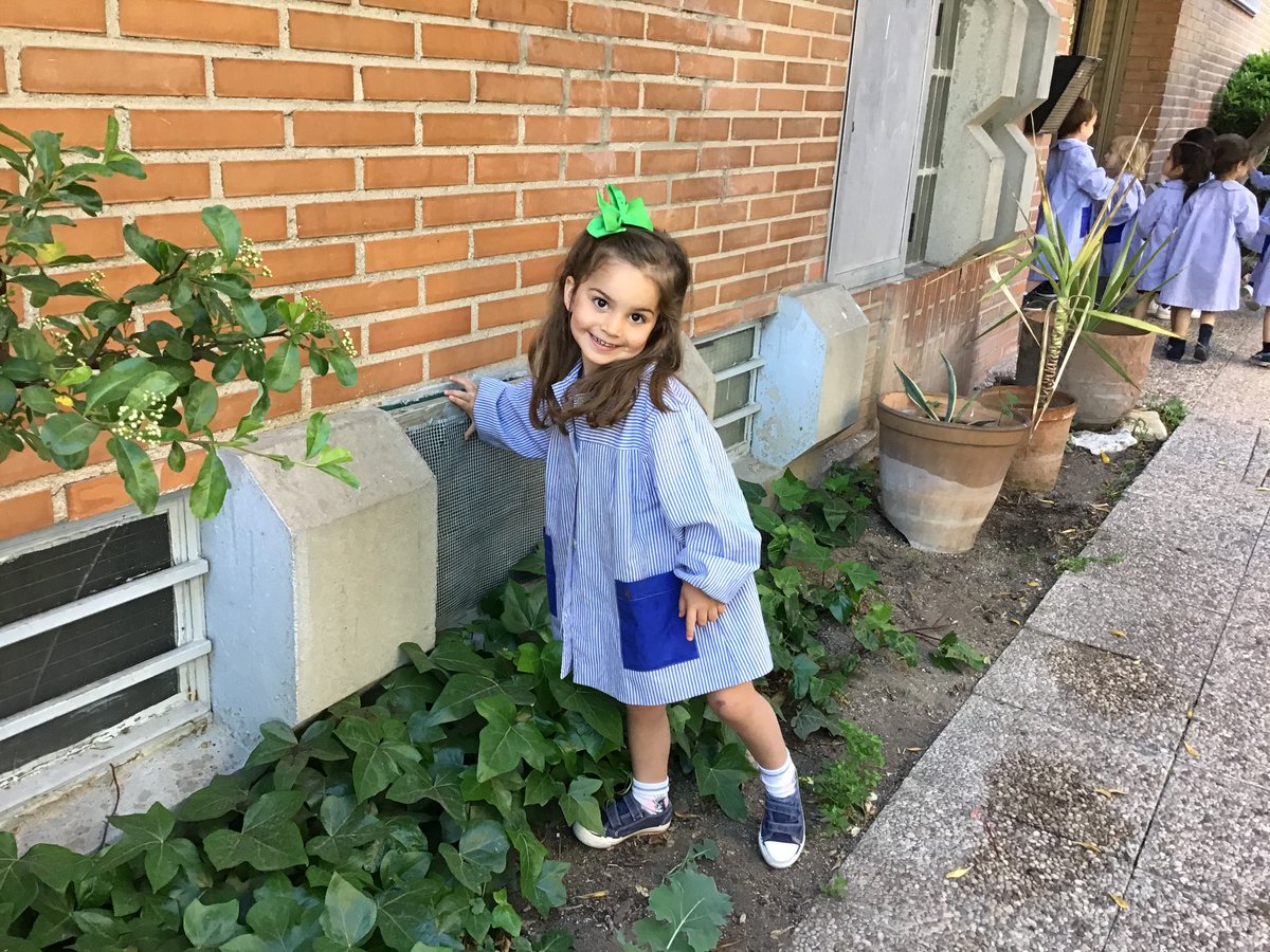 Rachel Davies tweet media