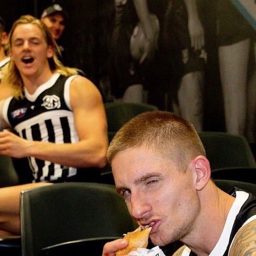 _TheCreed's tweet photo. Get someone who looks at you the way Bergs looks at Hammer smashing a zinger 😍

#weareportadelaide 
#zingon https://t.co/mM5t1CRrz9