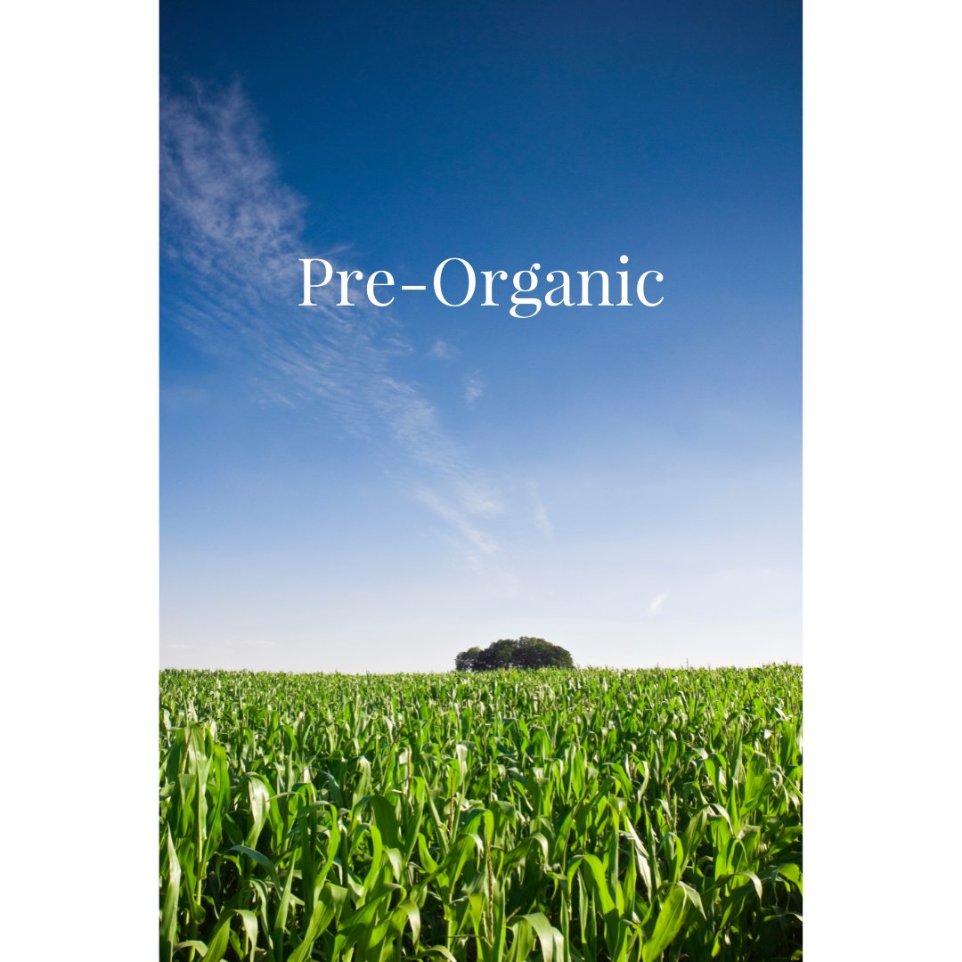 EatoSystem tweet media