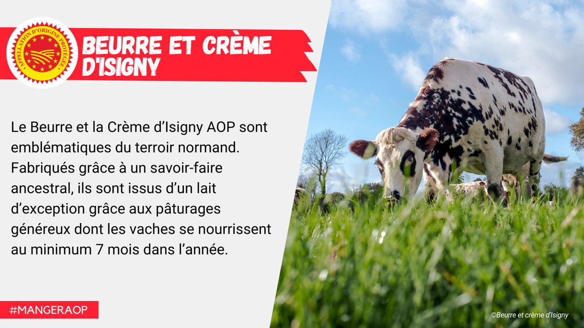 AOPlaitieres's tweet photo. [Tour de 🇫🇷 des #AOP] La zone d’AOP du #beurre et de la #crème d’#Isigny épouse la baie des Veys. A proximité de la mer, irriguée par 5 rivières, cette région aux herbages très riches permet aux vaches de produire un lait onctueux et parfumé. https://t.co/8mpwY9NrLK