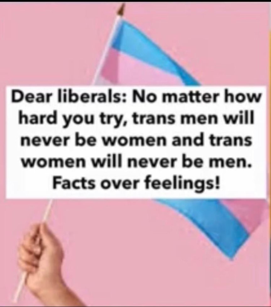 FinJCam's tweet image. 